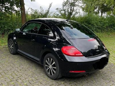 VW Beetle