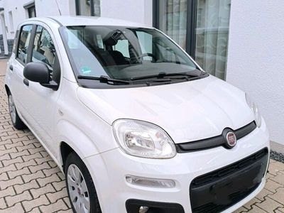 gebraucht Fiat Panda New1,2 Klima Euro 6 wenig Km!!!