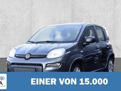 Gebraucht Fiat Panda 69 PS (50 kW) 2023 Kleinwagen