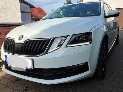 Gebraucht Skoda Octavia Drive 150 PS (110 kW) 2017 Weiß Kombi