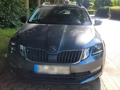 Gebraucht Skoda Octavia 150 PS (110 kW) 2019 Grau Kombi