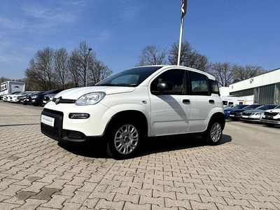 Gebraucht Fiat Panda 69 PS (50 kW) 2023 Gelato weiß Kleinwagen