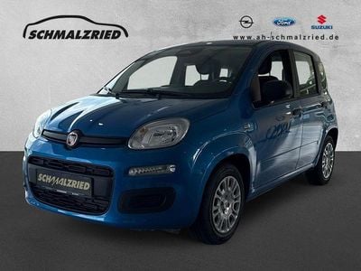 Blau Neu 2025 Fiat Panda Kleinwagen | 14.470 € (Fairer Preis)