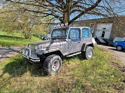 Second-hand Jeep Wrangler 121 CP (88 kW) 1993 Gri SUV
