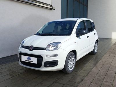 Neu Fiat Panda 65 PS (47 kW) 2026 Weiß Kleinwagen