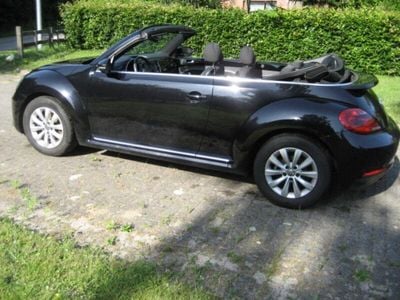 VW Beetle