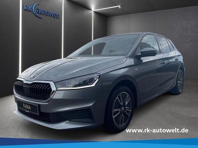 Grau Gebraucht 2023 Skoda Fabia Tour Kleinwagen | 17.980 € (Etwas zu teuer)
