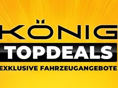 Gebraucht Dacia Spring Business 33 kW (45 PS) 2021 Grau Kleinwagen