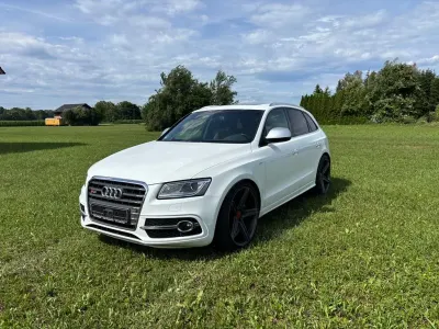 Gebraucht Audi SQ5 Sport 313 PS (230 kW) 2015 Weiß SUV
