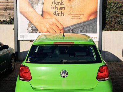 VW Polo