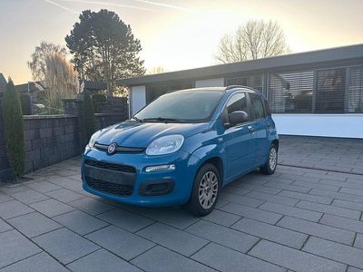 Blau Gebraucht 2014 Fiat Panda Limousine | 4.100 € (Fairer Preis)