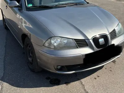 Gebraucht Seat Ibiza 80 PS (58 kW) 2006 Grau Kleinwagen