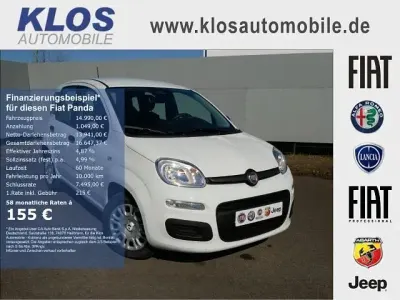 Neu Fiat Panda 69 PS (50 kW) 2025 Weiss Kleinwagen