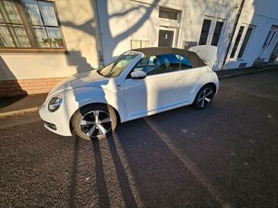 gebraucht VW Beetle 1.2 TSI BMT ALLSTAR Cabriolet ALLSTAR