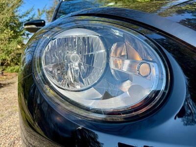 VW Beetle