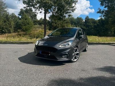 Gebraucht Ford Fiesta ST-Line 140 PS (102 kW) 2019 Grau Kleinwagen