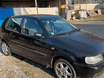 VW Polo