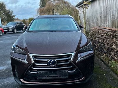 gebraucht Lexus NX300h 