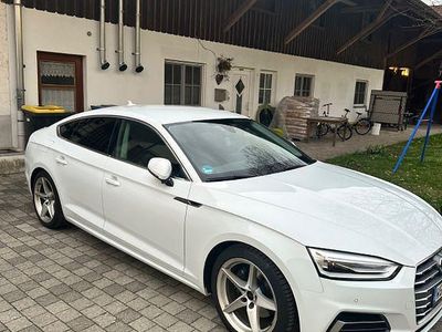 Gebraucht Audi A5 Sportback Design 190 PS (139 kW) 2019 Weiß Kleinwagen