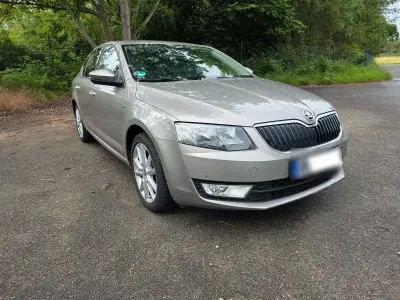 Gebraucht Skoda Octavia Joy 110 PS (80 kW) 2016 Grau Kombi