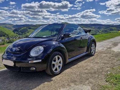 VW Beetle