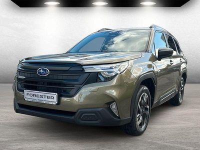 Neu Subaru Forester Active 136 PS (100 kW) 2026 Grün SUV