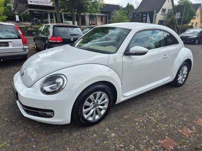 VW Beetle