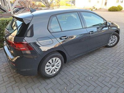 Usata VW Golf VIII 116 CV (85 kW) 2024 Grigio Berlina