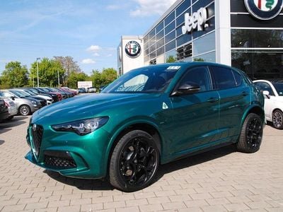Grün Neu 2025 Alfa Romeo Stelvio Quadrifoglio SUV | 92.490 €