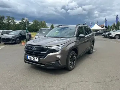 Gebraucht Subaru Forester Active 136 PS (100 kW) 2026 Brilliant bronze SUV