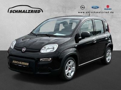 Gebraucht Fiat Panda 69 PS (50 kW) 2024 Colore esterno (cinema schwarz Kleinwagen