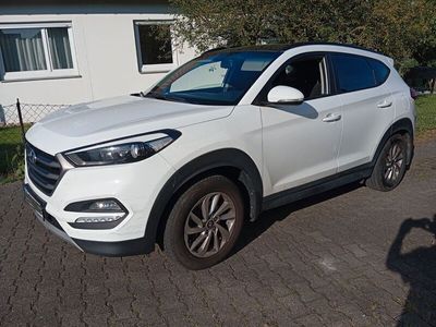 Gebraucht Hyundai Tucson 159 PS (116 kW) 2017 Weiß SUV