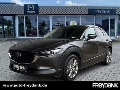 Gebraucht Mazda CX-30 Selection 122 PS (89 kW) 2021 Machine grey SUV