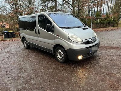 Silber Gebraucht 2013 Opel Vivaro Van / Kleinbus | 9.000 €