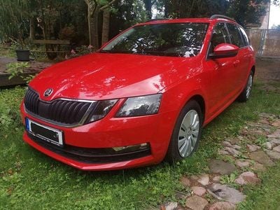 Gebraucht Skoda Octavia Drive 150 PS (110 kW) 2017 Rot Kombi