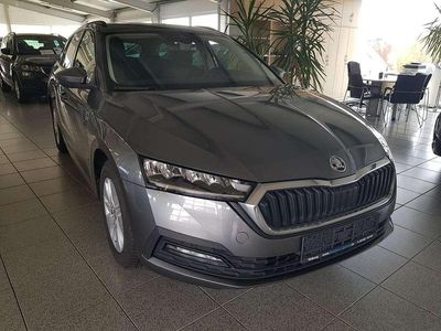 Usata Skoda Octavia 150 CV (110 kW) 2023 Grigio Station wagon