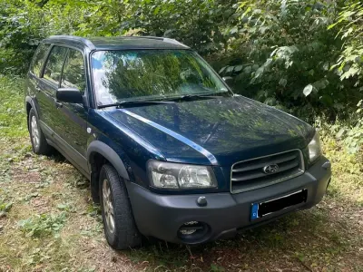 Gebraucht Subaru Forester 2004 Blau SUV