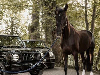 Gebraucht Mercedes G63 AMG AMG 585 PS (430 kW) 2024 Schwarz SUV