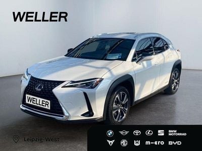 Gebraucht Lexus UX 250h 184 PS (135 kW) 2021 Grau SUV