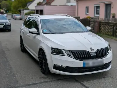 Gebraucht Skoda Octavia 150 PS (110 kW) 2019 Weiß Kombi