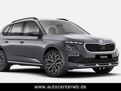 Gebraucht Skoda Kamiq Tour 116 PS (85 kW) 2025 Grau SUV