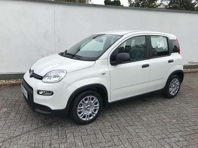 Weiß Gebraucht 2024 Fiat Panda Kleinwagen | 14.795 € (Fairer Preis)