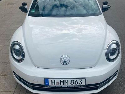 VW Beetle