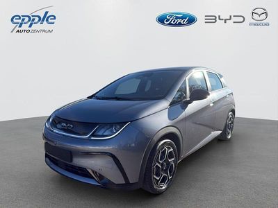 Neu BYD Dolphin Comfort 150 kW (204 PS) 2026 Grau Kleinwagen
