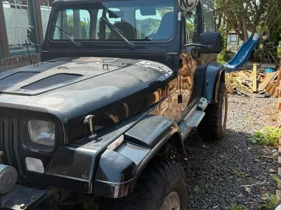 Gebraucht Jeep Wrangler 121 PS (88 kW) 1994 SUV