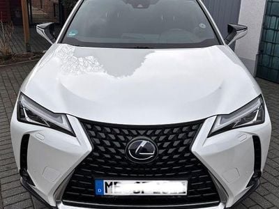 Gebraucht Lexus UX 250h 184 PS (135 kW) 2020 Weiß SUV