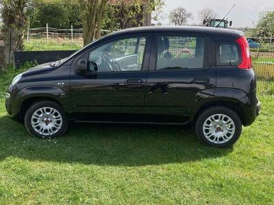 gebraucht Fiat Panda sehr gepflegt 2. Hand Rentnerhand