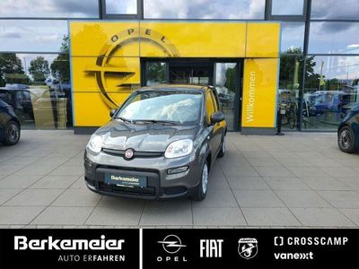 gebraucht Fiat Panda 10l 70 PS**5 Radio_Klima_Start&Stopp**