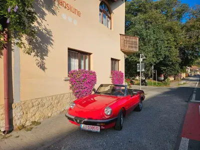 Gebraucht Alfa Romeo Spider 125 PS (91 kW) 1987 Rot Cabrio