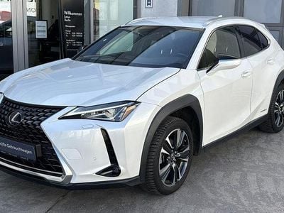 Gebraucht Lexus UX 250h 184 PS (135 kW) 2022 Weiß SUV